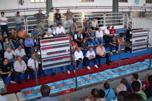 subasta electrónica en la lonja pesquera de Almería que gestiona la Asociación Asopesca.