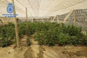 Plantación descubierta en Matagorda.