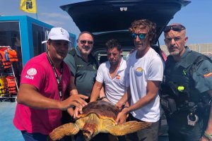El equipo de rescate ha trasladado al animal al centro de recuperación.