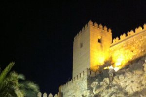 La Alcazaba en una imagen nocturna.