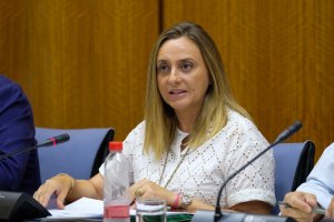 La consejera Marifrán Carazo en la Comisión de Fomento