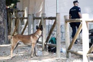 Un perro de rastreo y un agente de la Guardia Civil en Cercedilla.