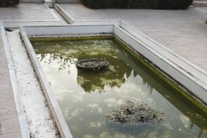 Aljibe con agua putrefacta.