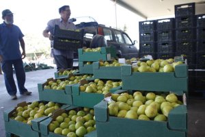 El objetivo es conseguir un procedimiento más útil, rápido y eficiente.