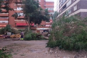 Imagen de la capital tomada por Carmen María Alcaraz.