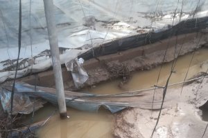 Uno de los invernaderos afectados por el temporal.