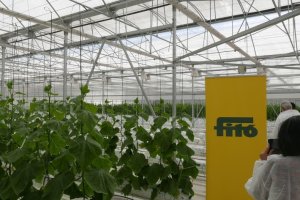 Instalaciones de Semillas Fitó.