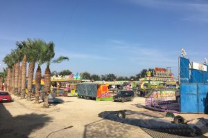 El palmeral albergará este año tanto la feria de la noche como la del mediodía.