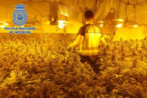 Operación de la Policía Nacional