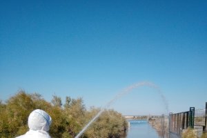 Trabajos de fumigación en zonas inundadas.