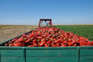 Transporte de productos agroalimentarios.