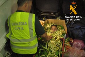 Intervención de la Guardia Civil