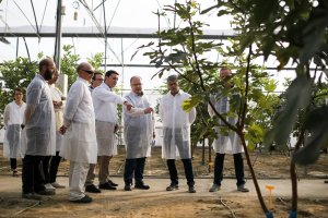 Visita del rector y el presidente de Diputación al cultivo de higueras