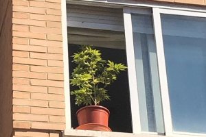 Imagen de la planta de la Policía Local de Ciudad Real. /Twitter