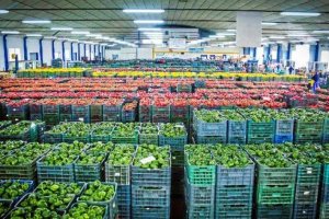 Almacén de pimientos.