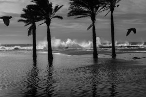 Imagen de archivo de un día de viento y fuerte oleaje en la capital.
