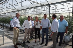 Directivos en una visita a un invernadero.