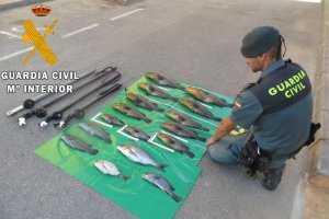 Especies capturadas ilegalmente en Cabo de Gata.