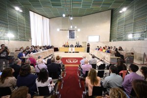 Visión general del salón de plenos