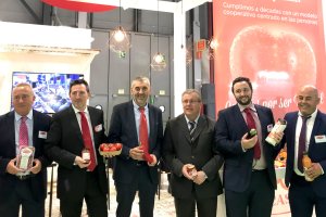 Vicasol es toda una referencia del sector hortofrutícola.