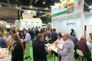 Ambiente en el stand de Koppert en Fruit Attraction.