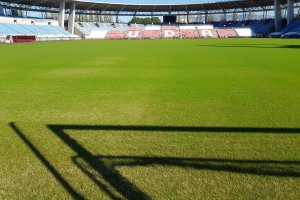 Así está el césped del Estadio en estos momentos.