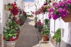 Lucainena de las Torres es uno de los municipios integrantes en esta asociación.