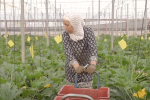 Captura de pantalla del vídeo de Al Jazeera.