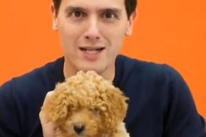 Albert Rivera con su nueva arma electoral.