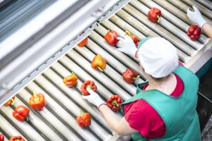 Una trabajadora de una empresa agrícola.