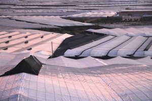 Agricultura en extinción es el lema de la convocatoria.
