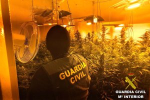 La Guardia Civil intervino diversos aparatos para maximizar el rendimiento de las plantaciones.