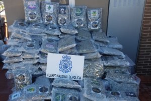 Junto a calabacines y pepinos, el camión también transportaba cogollos de marihuana.