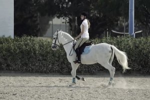 Shara Castillo nos cuenta su experiencia en Qvision