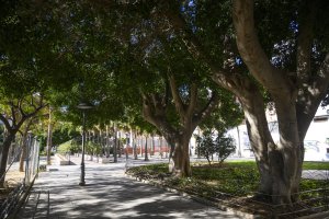 Almería cuenta con más de 52.000 árboles.