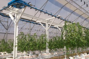 El invernadero almeriense, ejemplo de eficiencia.