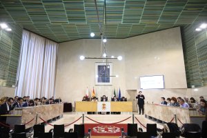 Vista general del último pleno de la Corporación municipal.