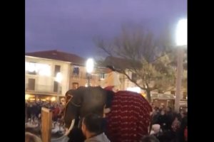 Captura de pantalla del vídeo en el que el elefante arrolla al público.