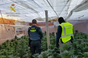 Agentes de la Guardia Civil en un invernadero de marihuana.