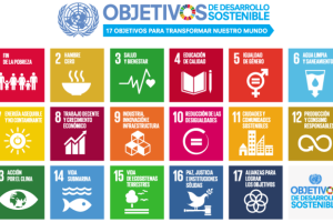 ODs de la ONU.