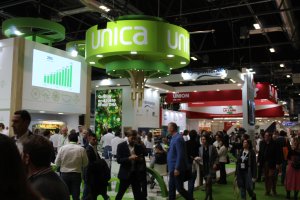 UNICA ha sido reconocida como Asociación de Organizaciones de Productores de Frutas y Hortalizas.