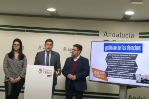 Sánchez Teruel, en el centro, junto a los parlamentarios andaluces Noemí Cruz y Rodrigo Sánchez.