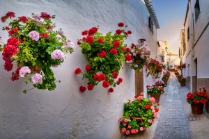 Lucainena es uno de los pueblos \'más bonitos\' de España.