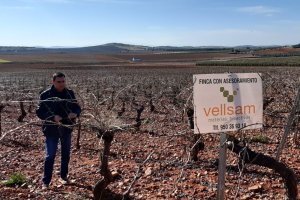 Finca asesorada por Vellsam.