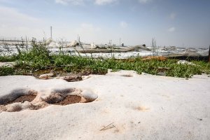 Invernaderos afectados por el granizo en Níjar.