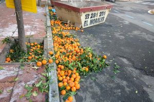 Naranjas en la calle Soldado Español.