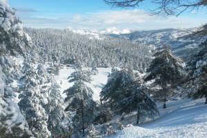 El espectáculo de la nieve preside Sierra Filabres.