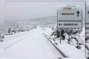 Fake que circula por las redes sociales.