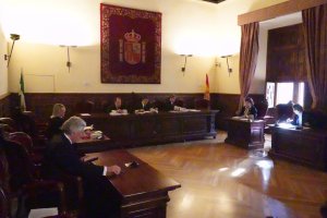 Vista oral en la Sala de lo Civil y lo Penal del Tribunal Superior de Justicia de Andalucía (TSJA).