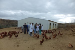 Un momento en la visita a la granja de gallinas.